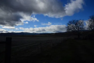 DSC_2892 (Large).JPG